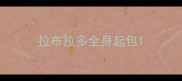 拉布拉多全身起包