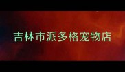 吉林市派多格宠物店