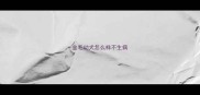 金毛幼犬怎么样不生病