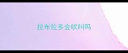 拉布拉多会吠叫吗