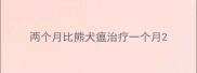 两个月比熊犬瘟治疗一个月
