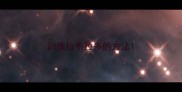 训练拉布拉多的方法