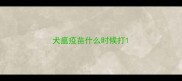 犬瘟疫苗什么时候打