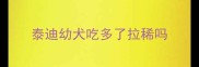 泰迪幼犬吃多了拉稀吗