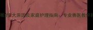 泰迪犬咳嗽的7大原因及家庭护理指南专业兽医教你科学应对