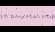 小拉布拉多犬品种特点与市场定位