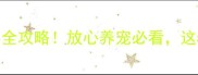 西安泰迪犬购买全攻略放心养宠必看这5家店让我闭眼入