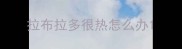 拉布拉多很热怎么办