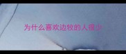 为什么喜欢边牧的人很少