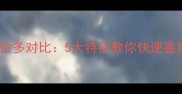 金毛犬与拉布拉多对比5大特征教你快速鉴别纯种金毛犬