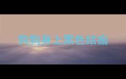狗狗身上黑色结痂