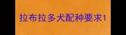 拉布拉多犬配种要求