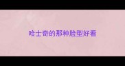 哈士奇的那种脸型好看