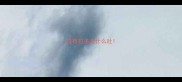 拉布拉多为什么吐