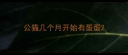 公猫几个月开始有蛋蛋