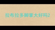 拉布拉多脚掌大好吗