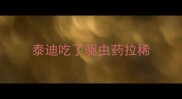 泰迪吃了驱虫药拉稀
