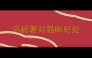 马铃薯对猫咪好处