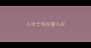 小哈士奇在哪儿买