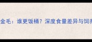 边牧vs金毛谁更饭桶深度食量差异与饲养成本