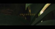 拉布拉多老是抽搐