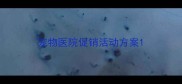 宠物医院促销活动方案