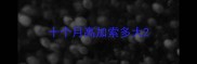 十个月高加索多大