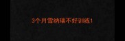 3个月雪纳瑞不好训练
