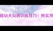 3步教你轻松掌握幼犬如厕训练技巧附实用便盆使用指南