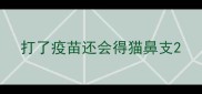 打了疫苗还会得猫鼻支