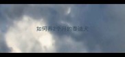 如何养2个月的泰迪犬
