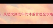 拉布拉多金毛科学喂养指南从幼犬到成年的体重管理全攻略附健康标准与疾病预防