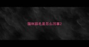 猫咪舔毛是怎么回事