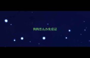 狗狗怎么办免疫证
