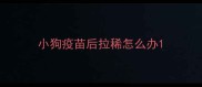 小狗疫苗后拉稀怎么办