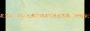 哈士奇混血犬10大经典品种与饲养全攻略附健康指南