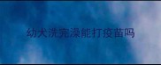 幼犬洗完澡能打疫苗吗