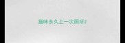 猫咪多久上一次厕所