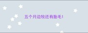五个月边牧还有胎毛
