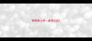 狗狗身上痒一直挠出血