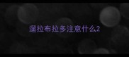 遛拉布拉多注意什么