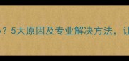 金毛犬啃爪子怎么办5大原因及专业解决方法让爱犬远离健康隐患