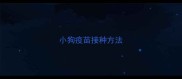 小狗疫苗接种方法