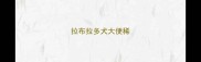 拉布拉多犬大便稀
