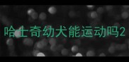 哈士奇幼犬能运动吗