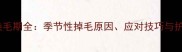 金毛犬换毛期全季节性掉毛原因应对技巧与护理指南