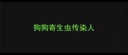 狗狗寄生虫传染人