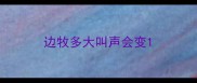 边牧多大叫声会变