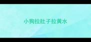 小狗拉肚子拉黄水
