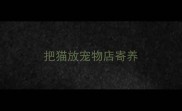 把猫放宠物店寄养